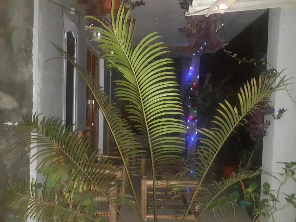 Eltari Homestay Tetebatu Kültér fotó