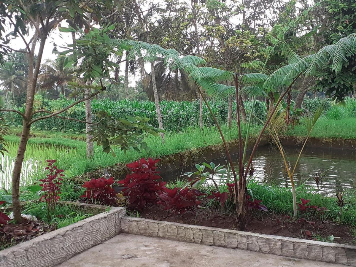 Eltari Homestay Tetebatu Kültér fotó