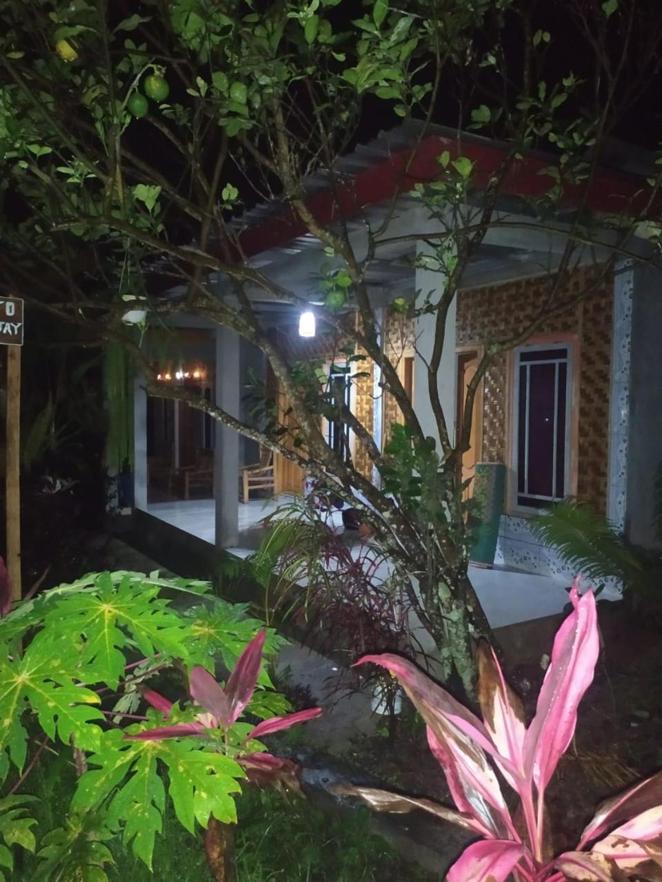 Eltari Homestay Tetebatu Kültér fotó